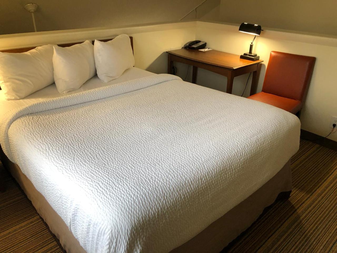 Albany Airport Inn And Suites Latham Εξωτερικό φωτογραφία